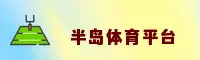 使用指南与常见问题
